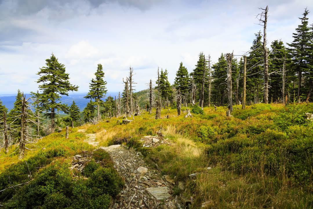 Karkonoski Park Narodowy